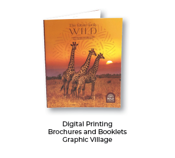 Graphic Village