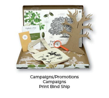 Print Bind Ship